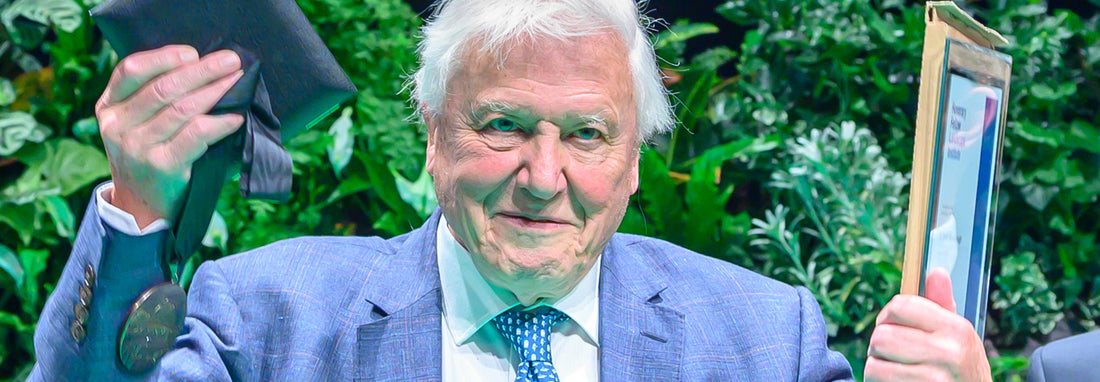 A moment with David Attenborough