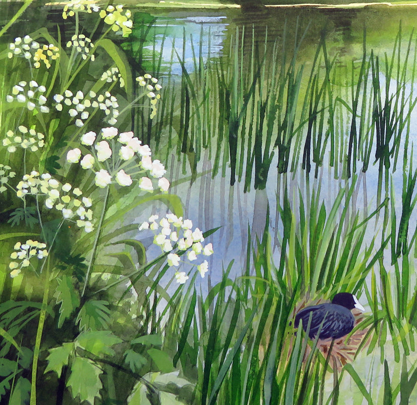 Angelica by the Thames