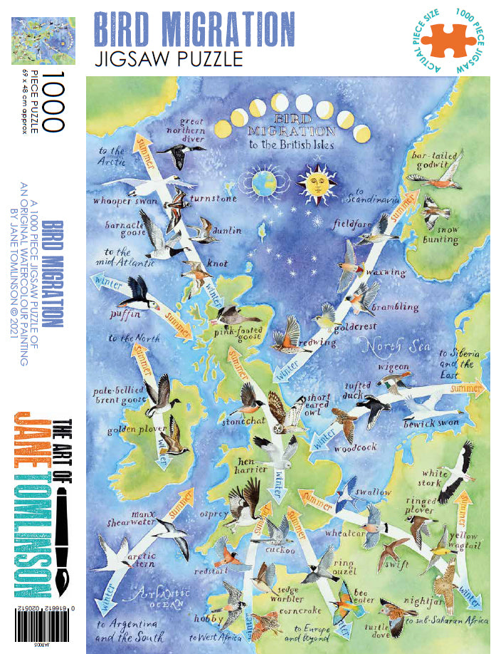 Bird Migration jigsaw puzzle b