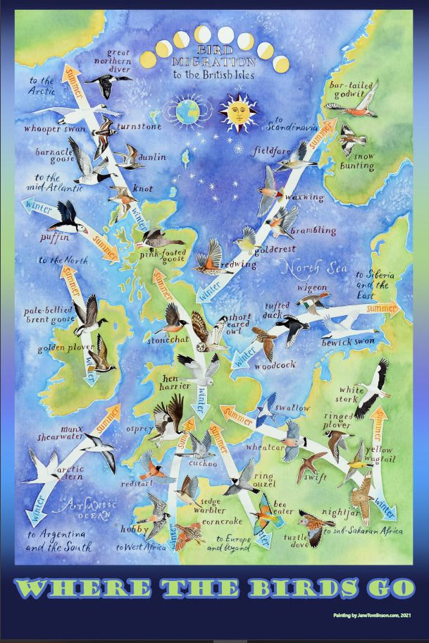 Bird migration tea towel