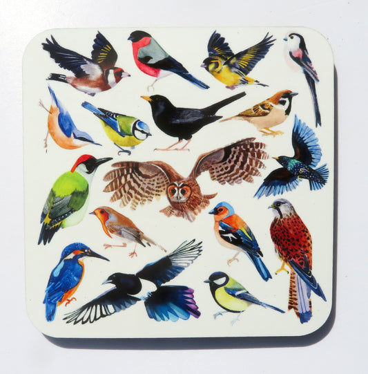 British Birds coaster