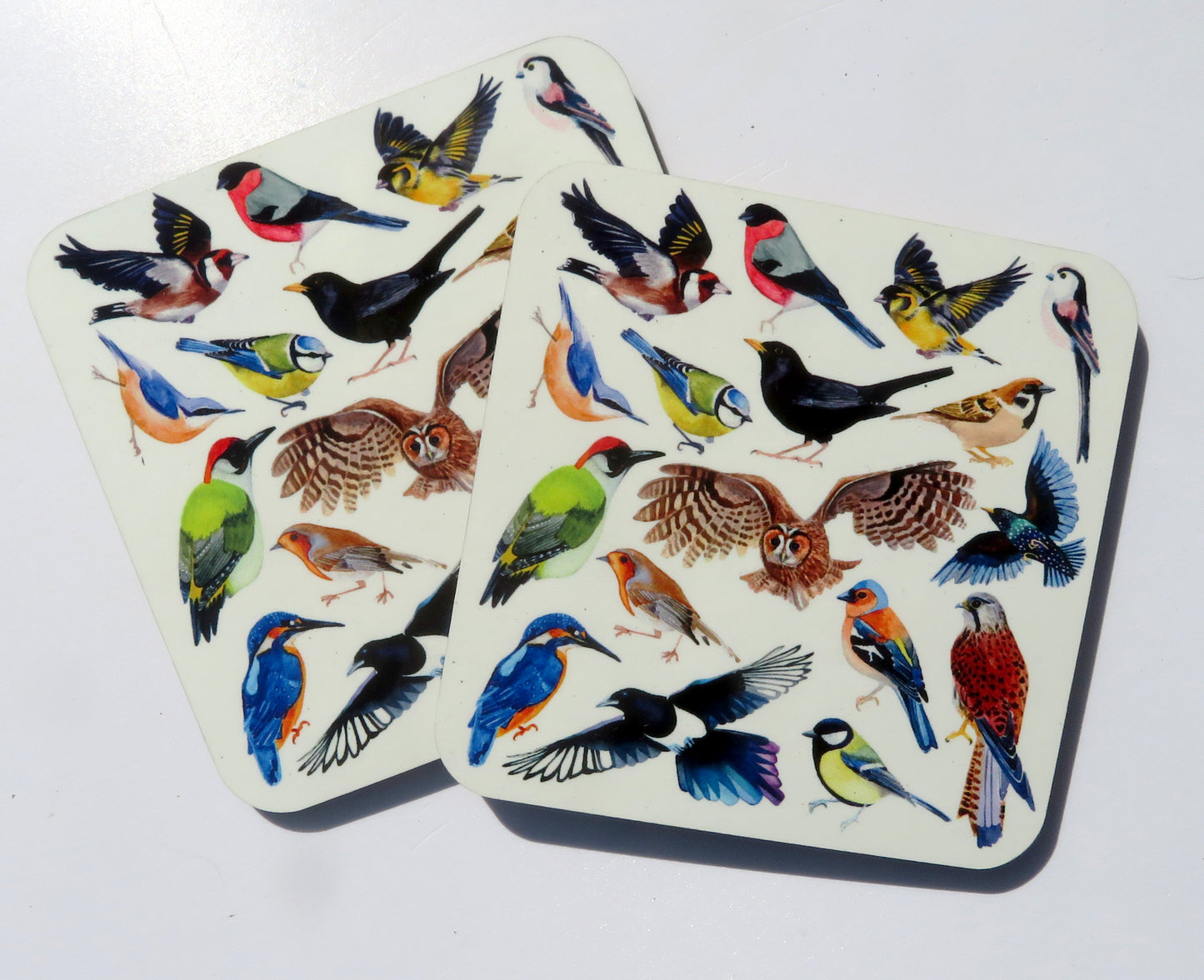 British Birds coaster