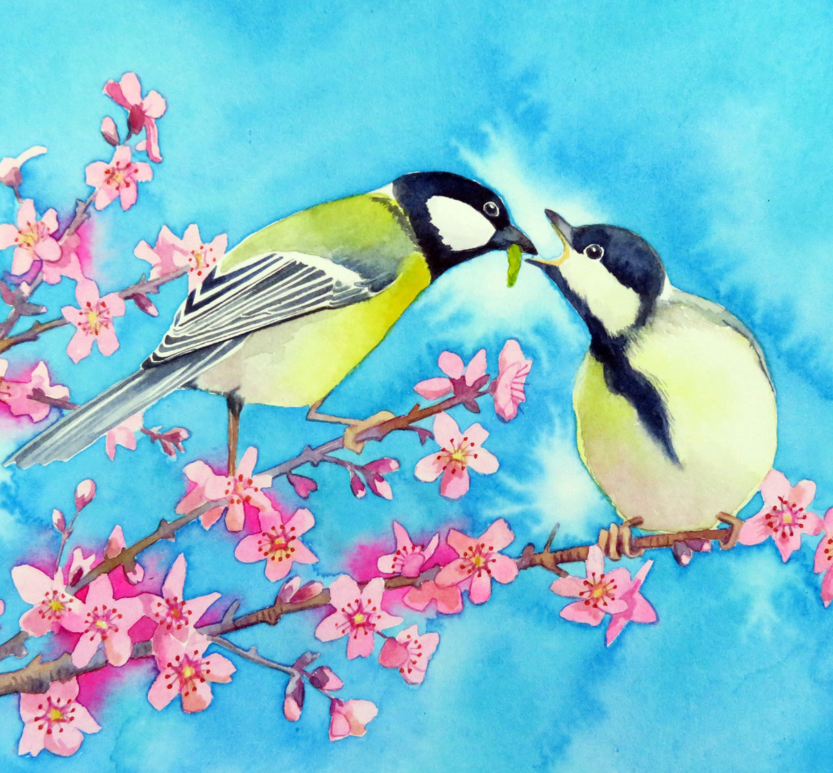 Birds greetings cards - choose from 11 designs