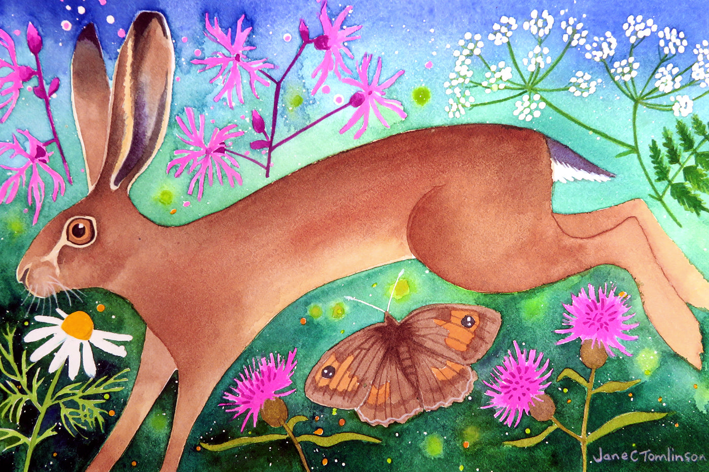 Brown hares greetings cards - choose from 4 designs