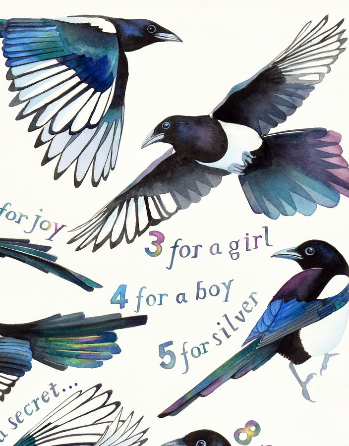 Magpie Song