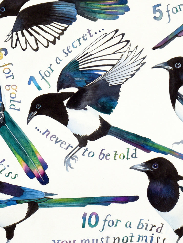 Magpie Song