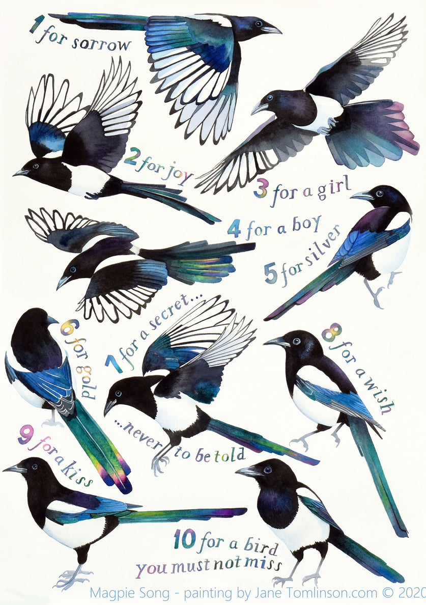 Birds greetings cards - choose from 11 designs