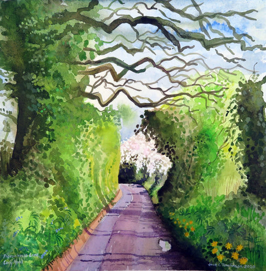 Pigeon House Lane in Freeland, Early April