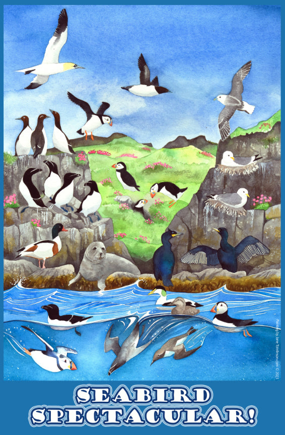 Seabirds Tea Towel