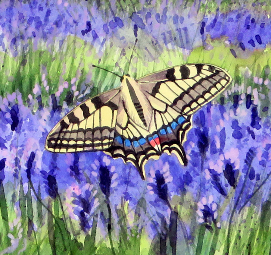 Snowshill Lavender Swallowtail