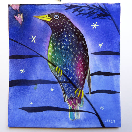 Starling and night sky