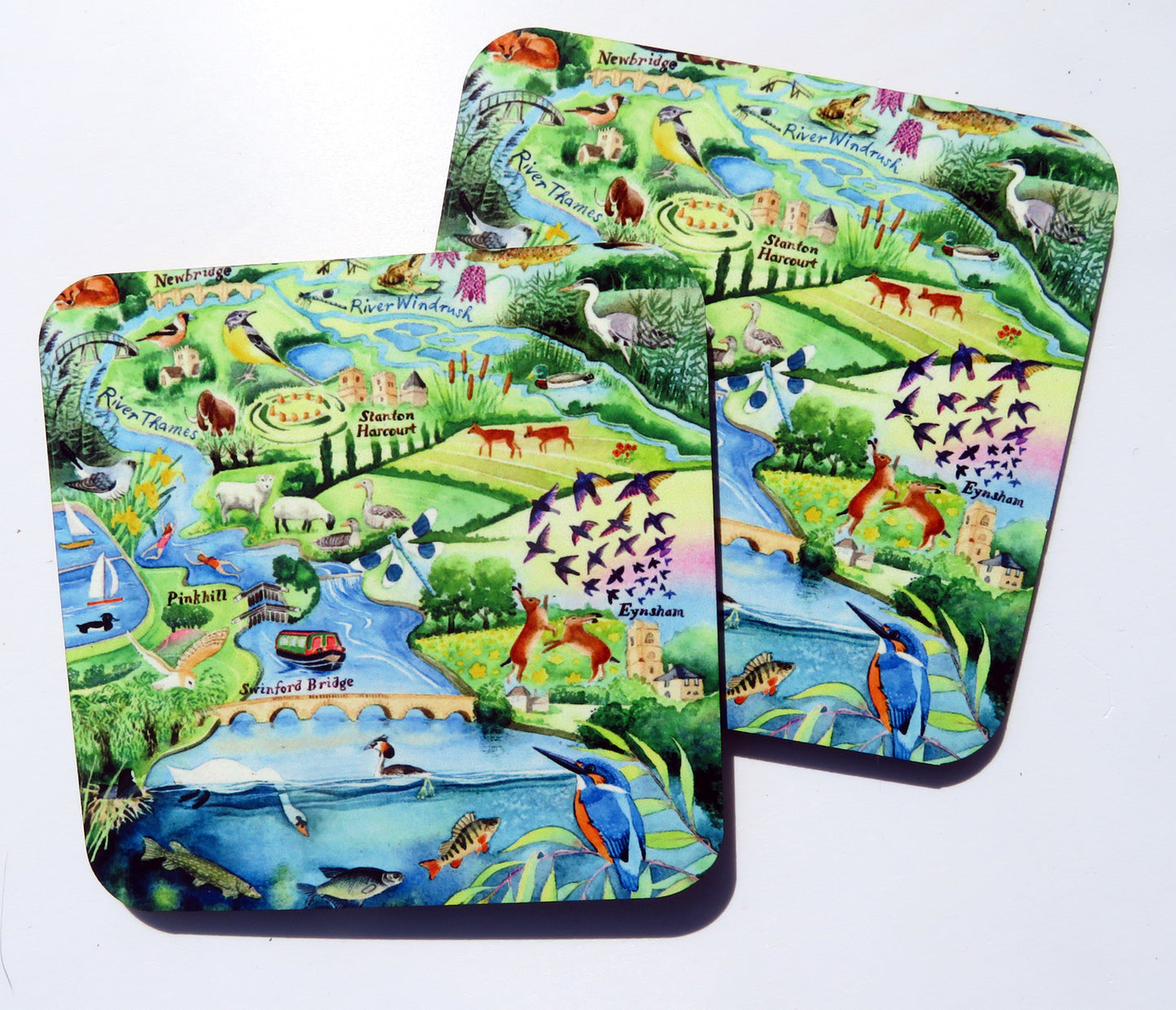 Thames at Eynsham coaster