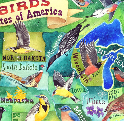 State Birds of the US
