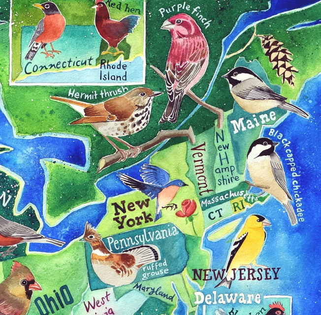 State Birds of the US