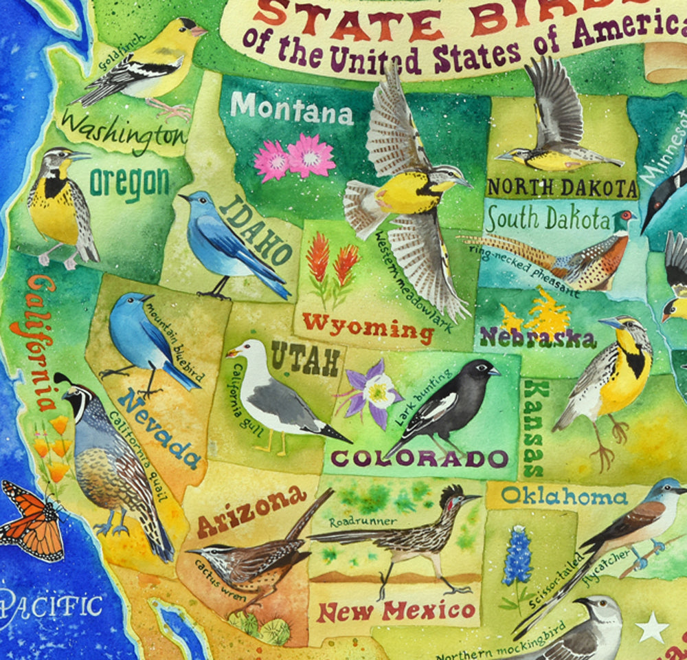 State birds of the US greetings cards