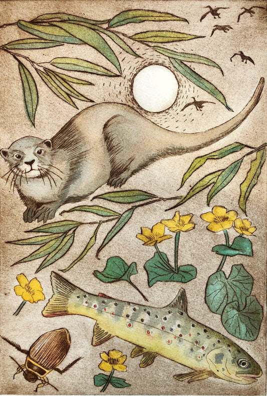 Otter and brown trout