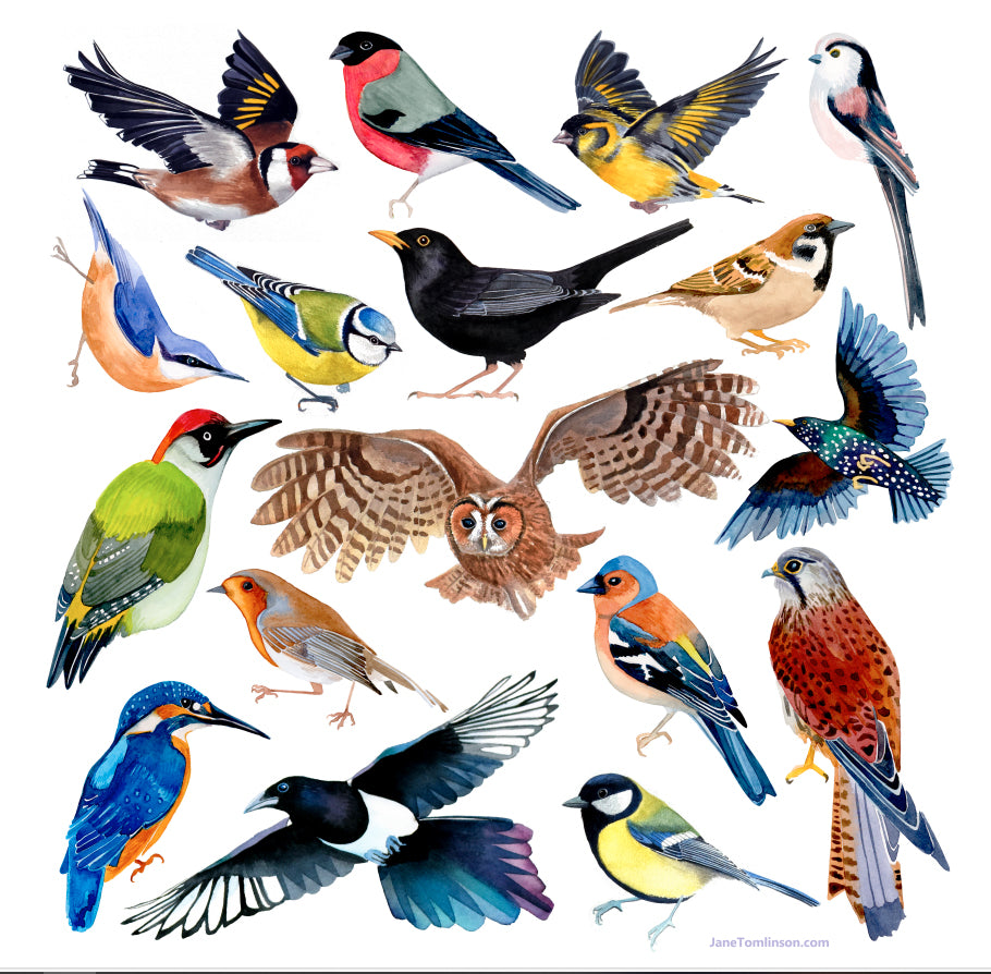 British birds handkerchief