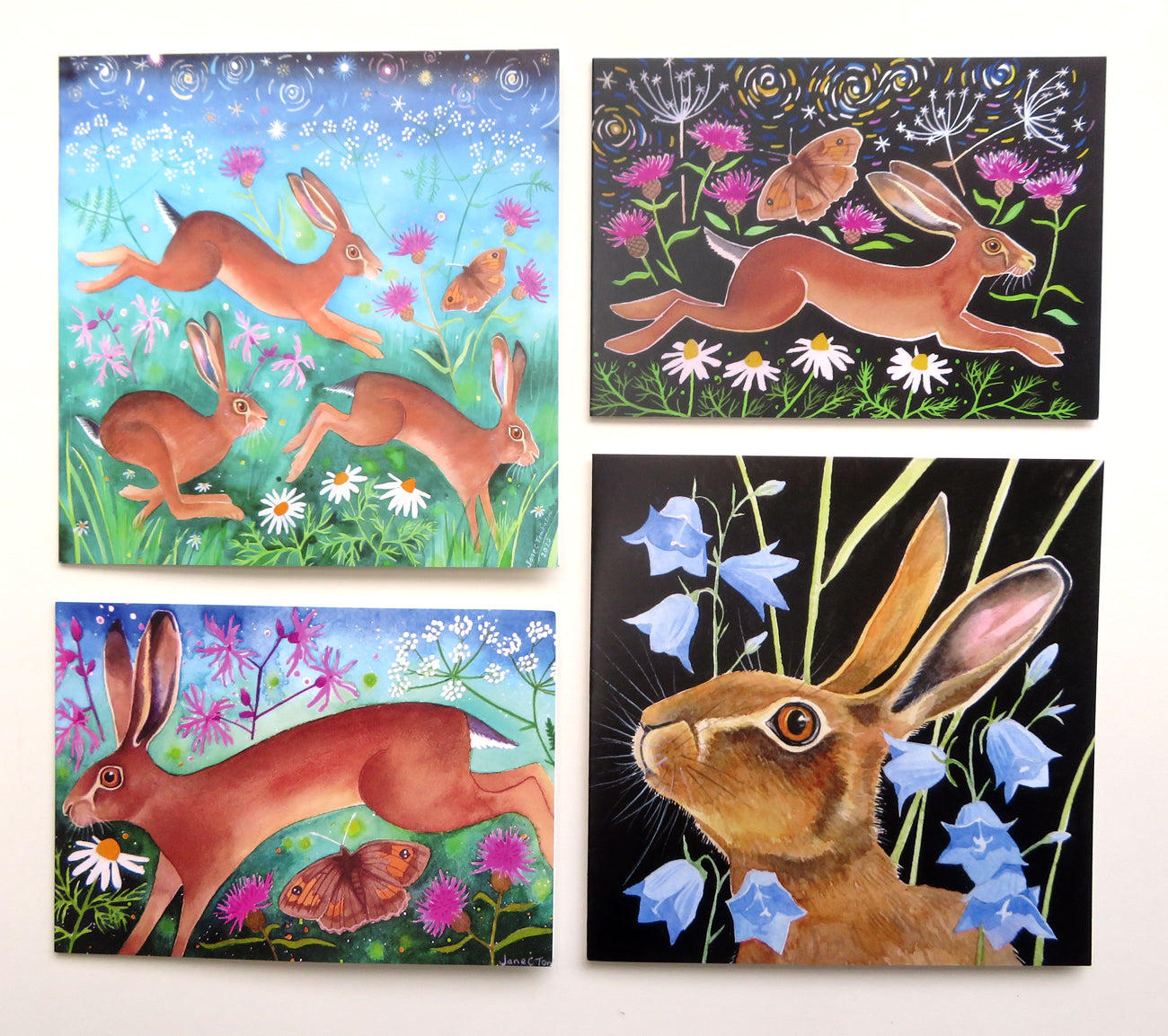 Brown hares greetings cards - choose from 4 designs