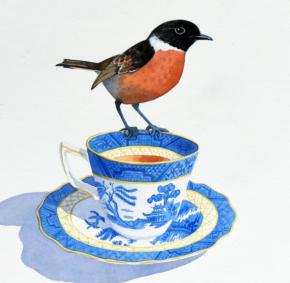Birds greetings cards - choose from 11 designs