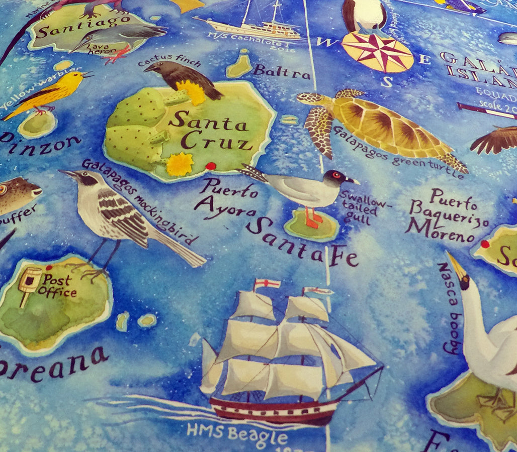 Galapagos map HMS Beagle