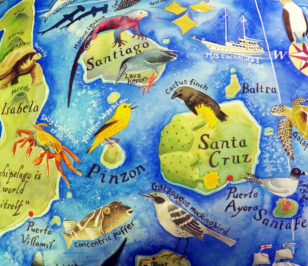 Galapagos map Santa Cruz