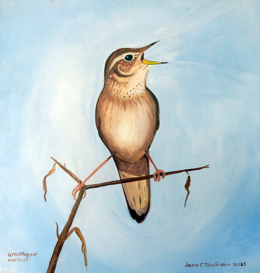 Grasshopper warbler