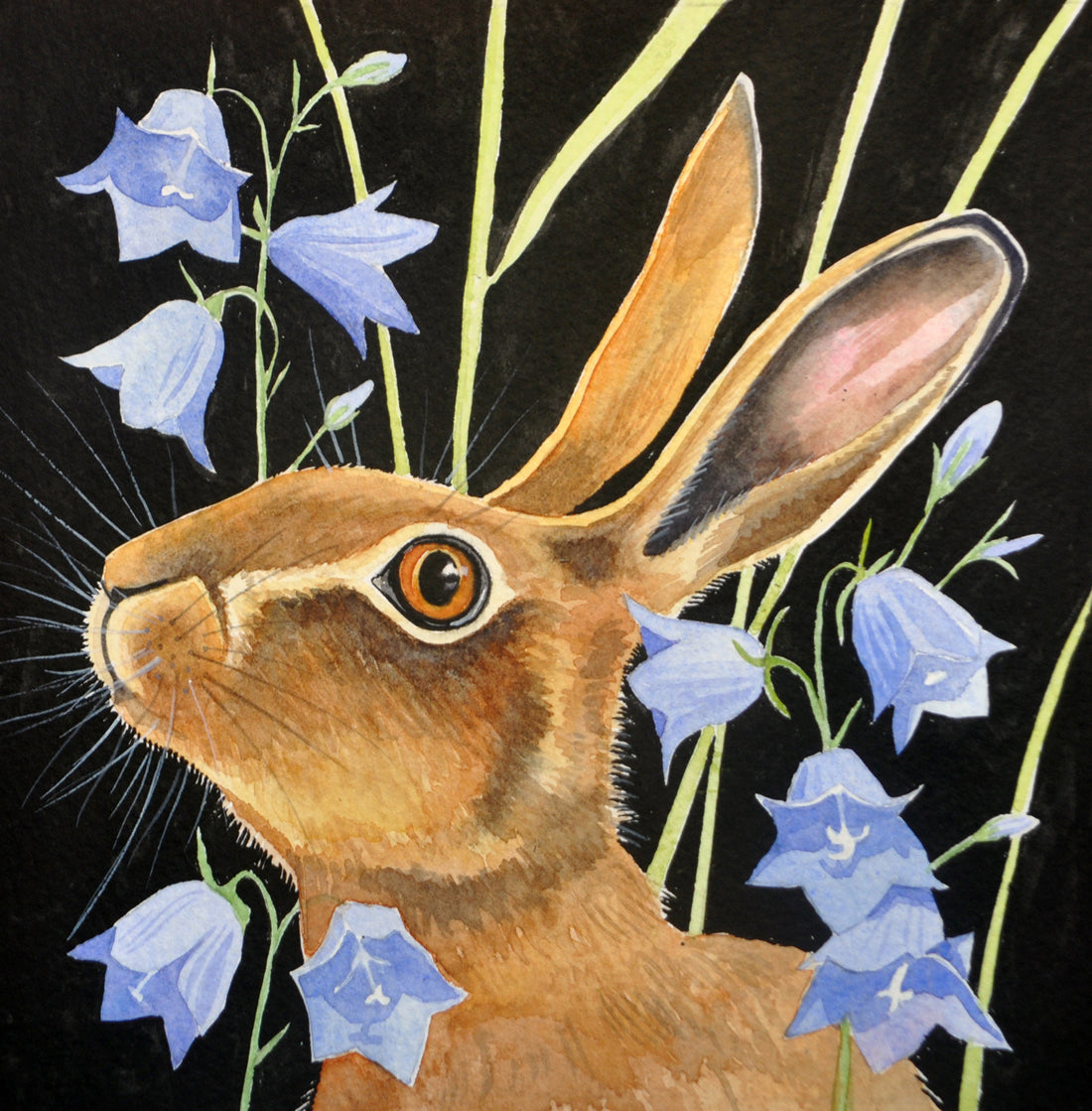 Brown hares greetings cards - choose from 4 designs