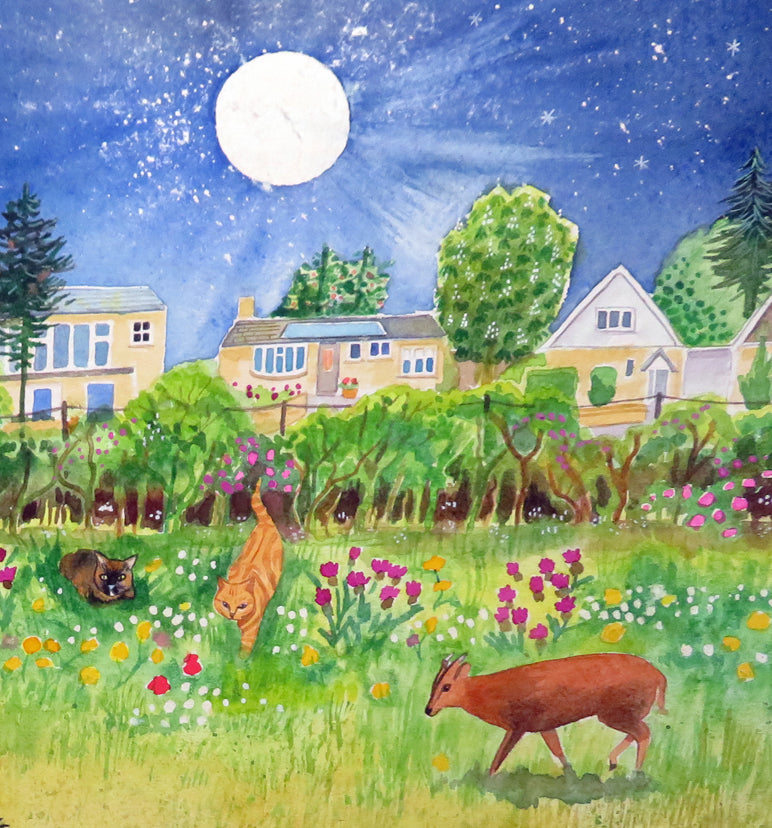 The Meadow Opposite