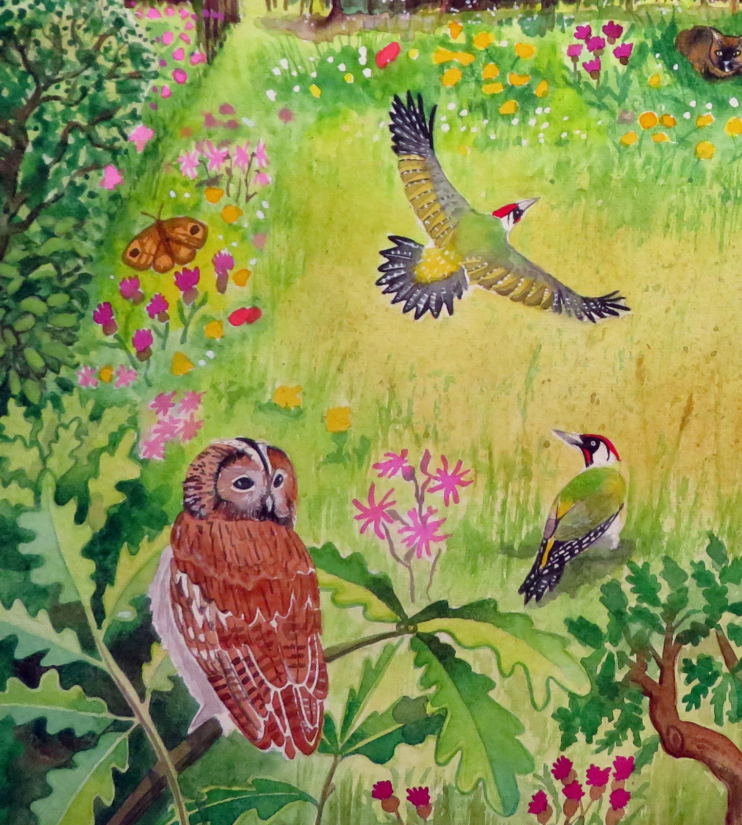 The Meadow Opposite