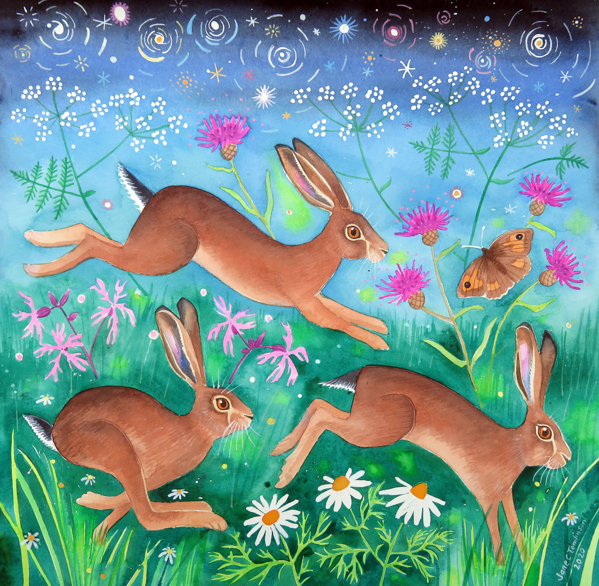 Brown hares greetings cards - choose from 4 designs