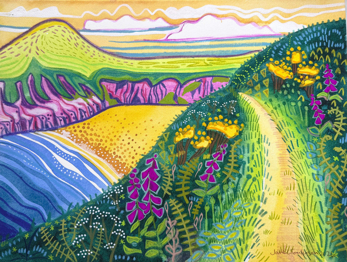 Mwnt Foxgloves