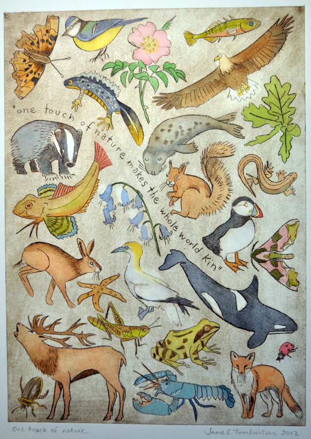 A painting of British wildlife