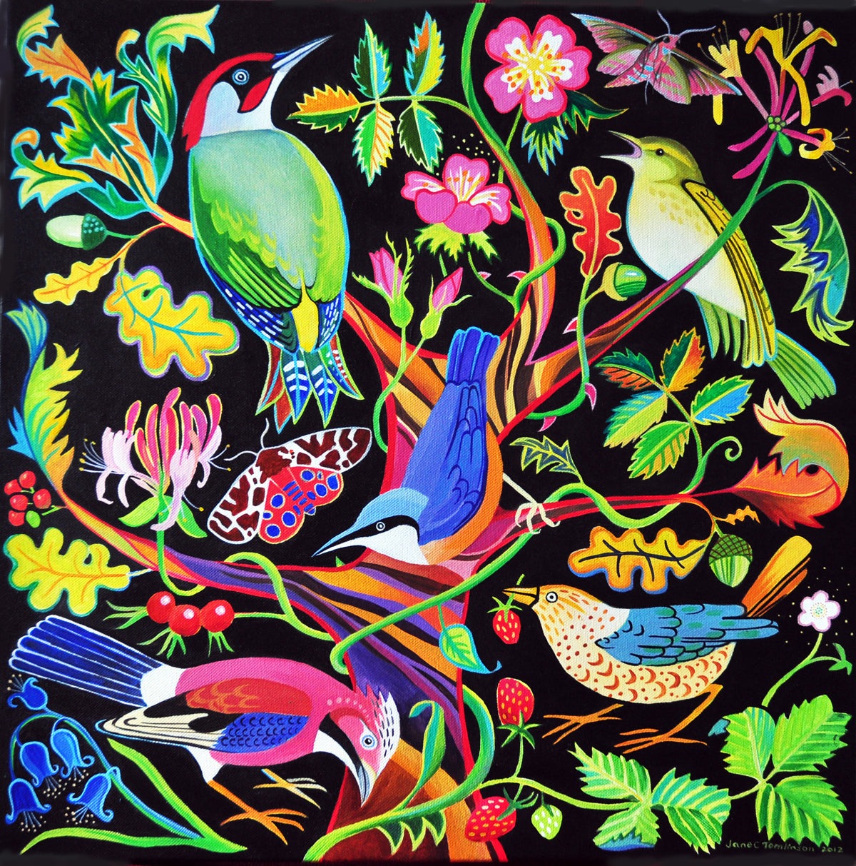 Birds greetings cards - choose from 11 designs