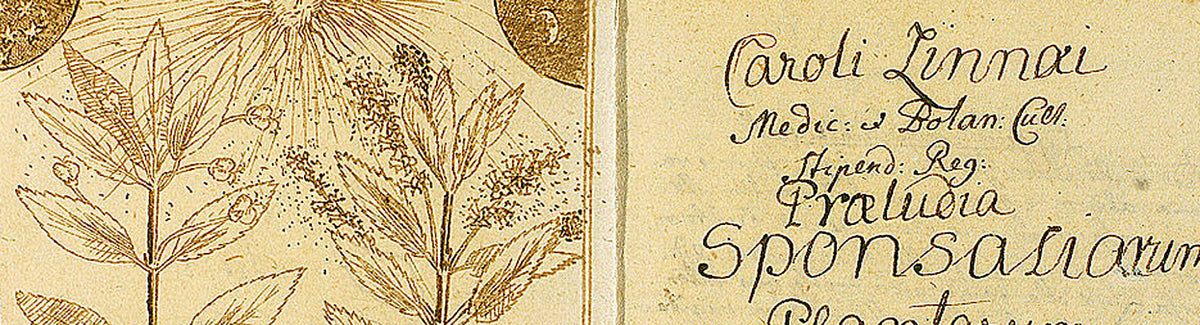 The death of Carl Linnaeus, a blog about the Swedish botanist who ...