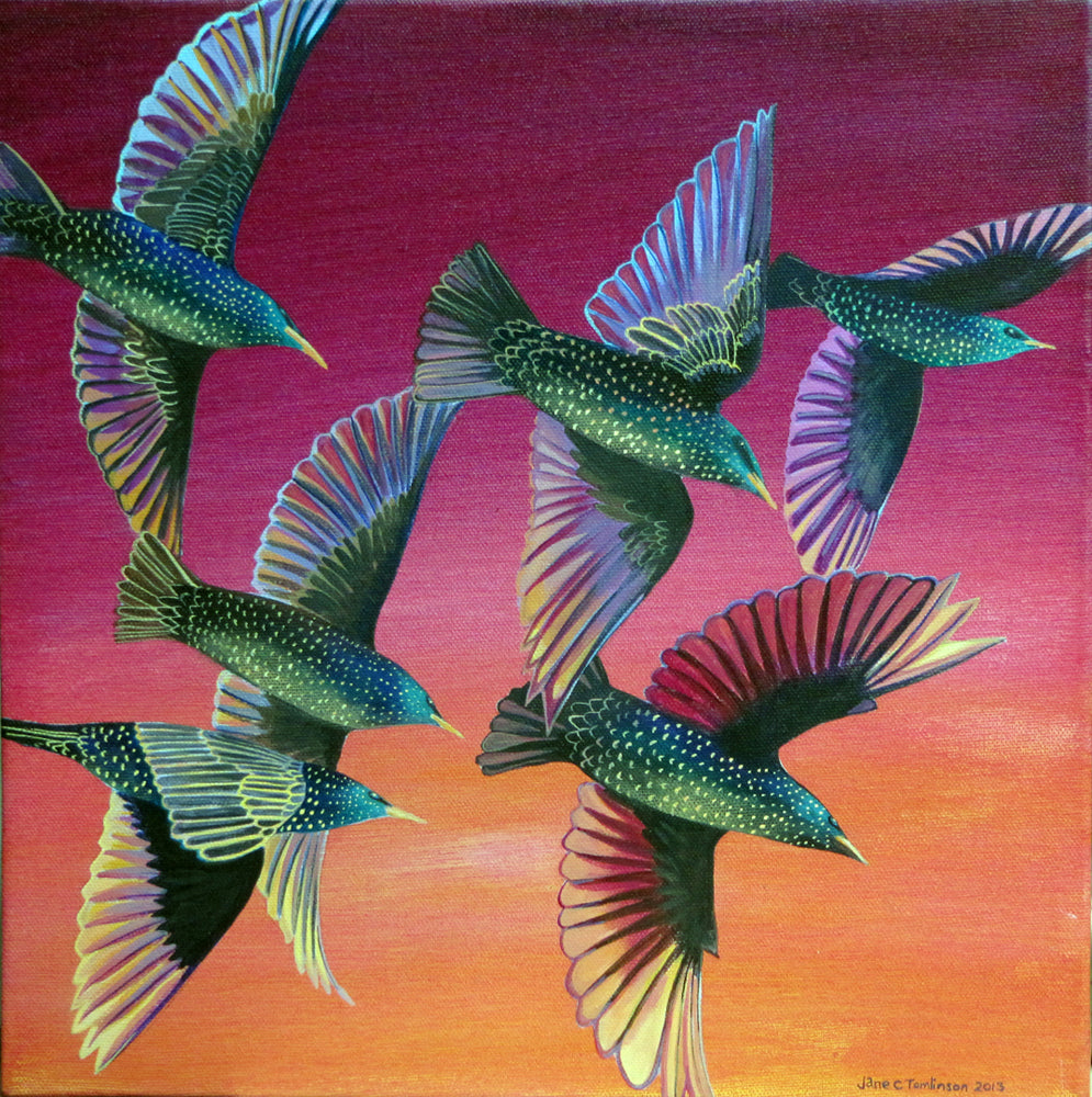 Paintings of starlings - an inspiring bird