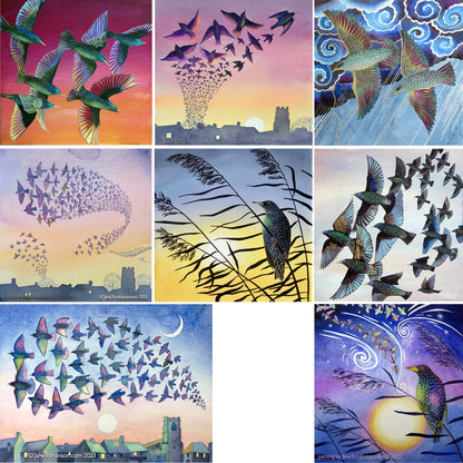 Starlings greetings cards - choose from 8 designs
