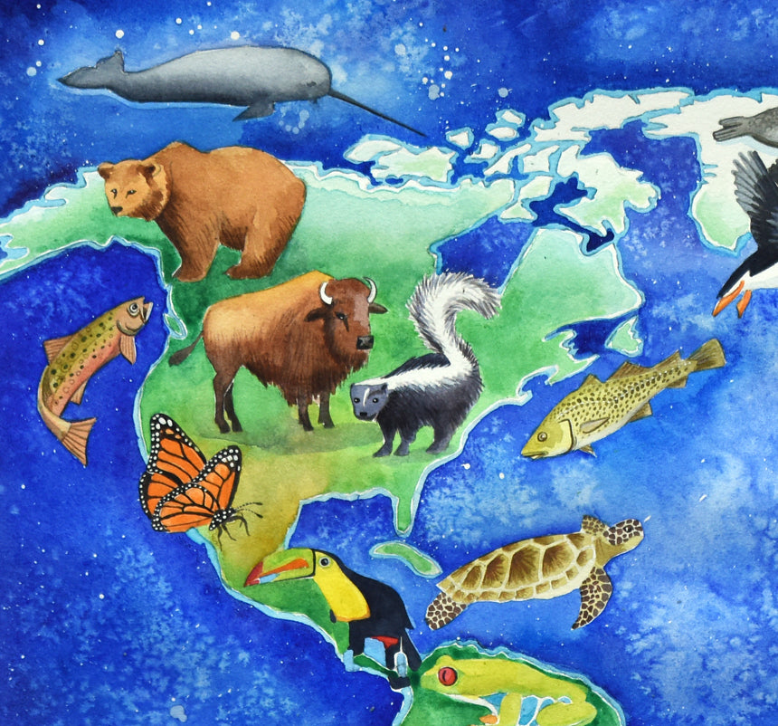 Animal map of the world North America