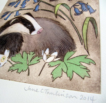 Badgers and bluebells