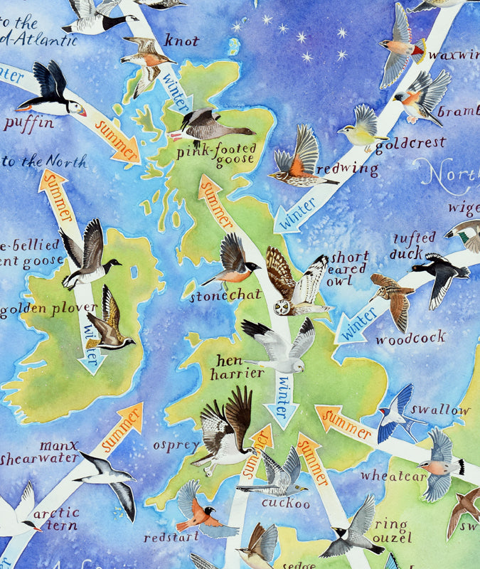 Bird migration map to the British Isles
