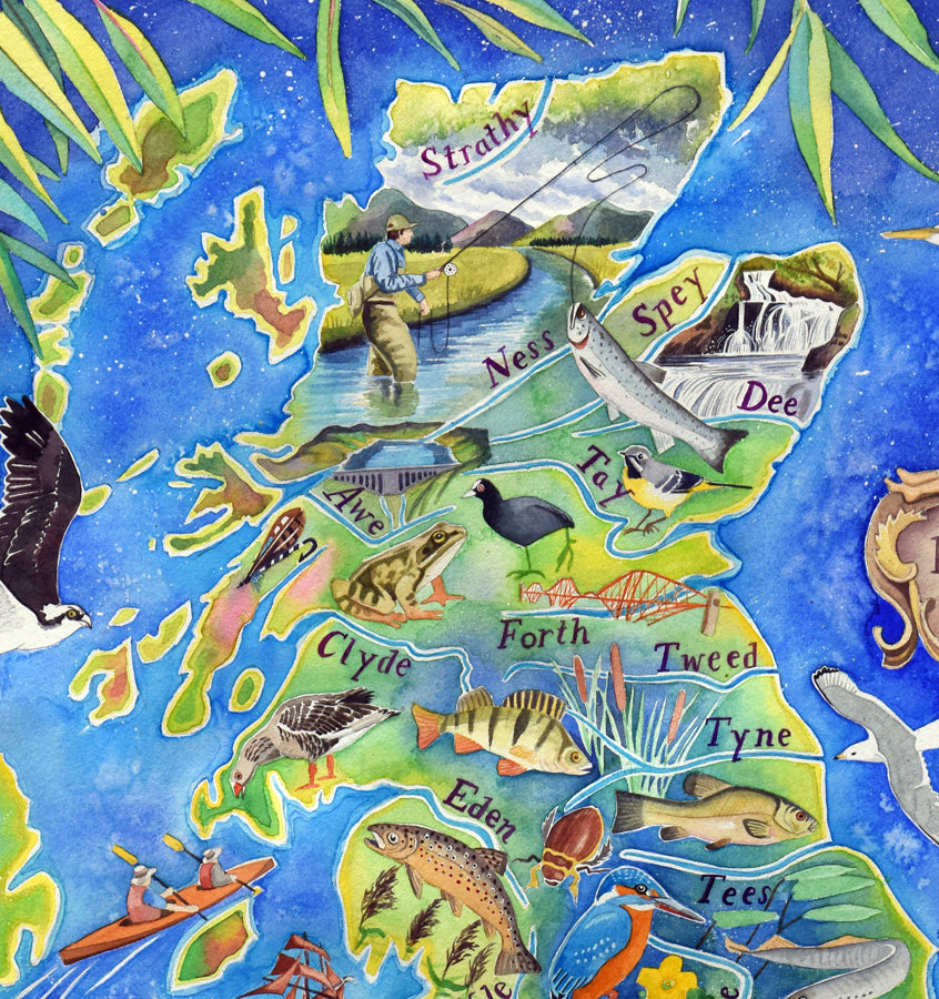British rivers - detail of Scotland from a painting by Jane Tomlinson