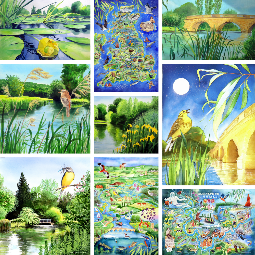 Rivers greetings cards - choose from 9 designs