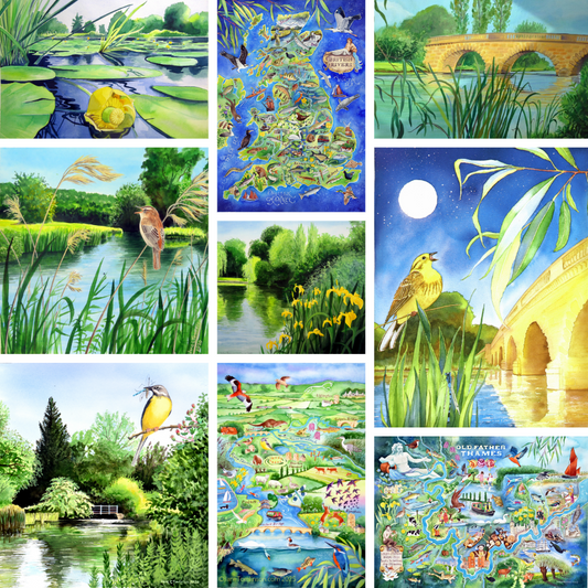 Rivers greetings cards - choose from 9 designs