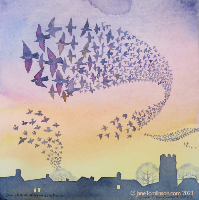 Eynsham murmuration -  - a starlings greetings card