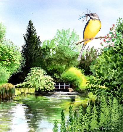 Rivers greetings cards - choose from 9 designs