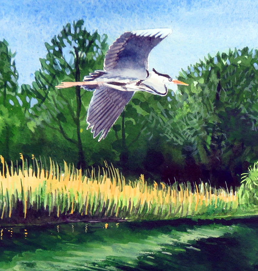 Heron over the Thames, with elder and wild mustard