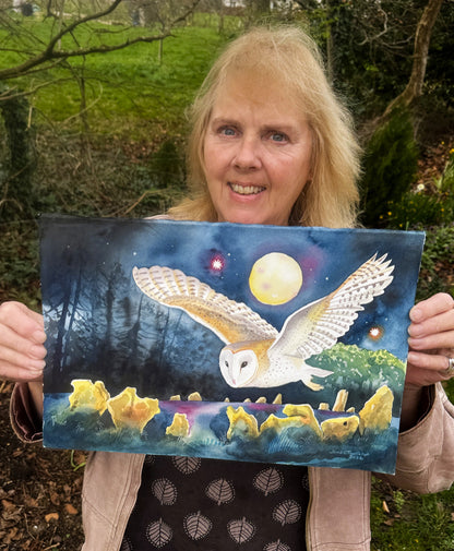 Barn Owl at the Rollright Stones