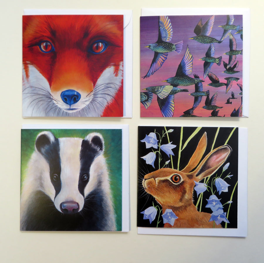 wildlife favourites greetings cards