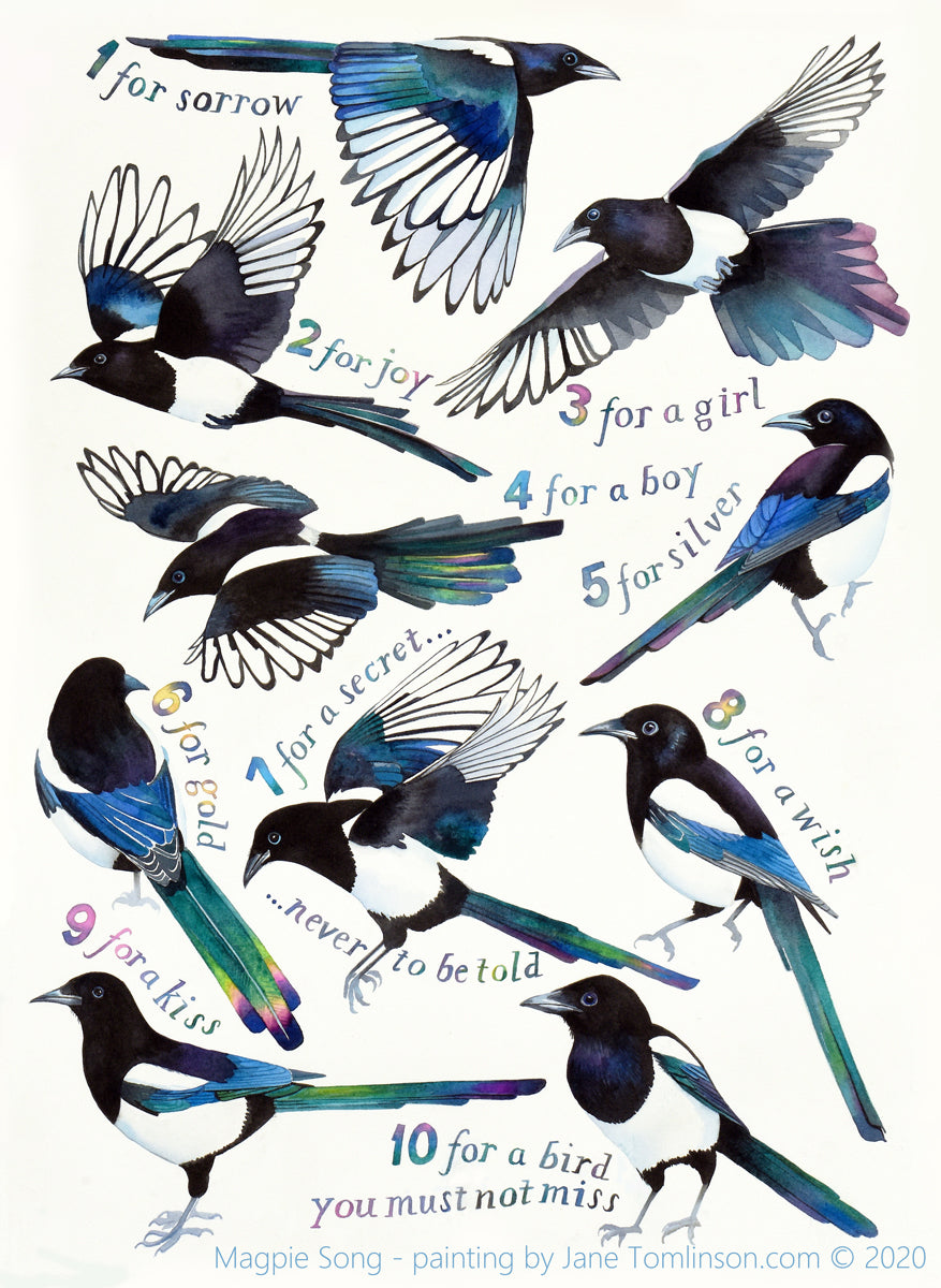 Magpie Song - a painting of the magpie rhyme