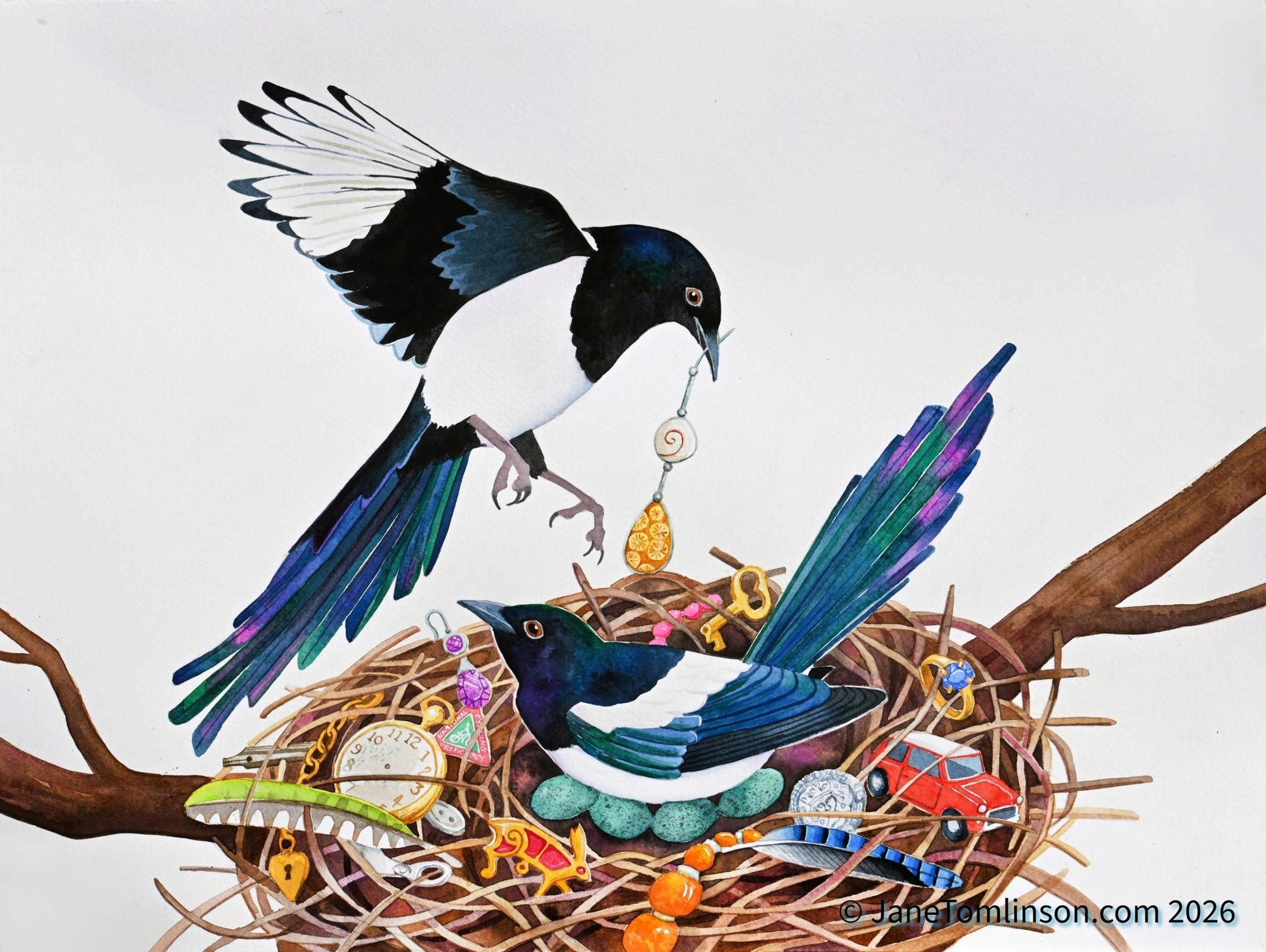 Two magpies with a nest of treasure 