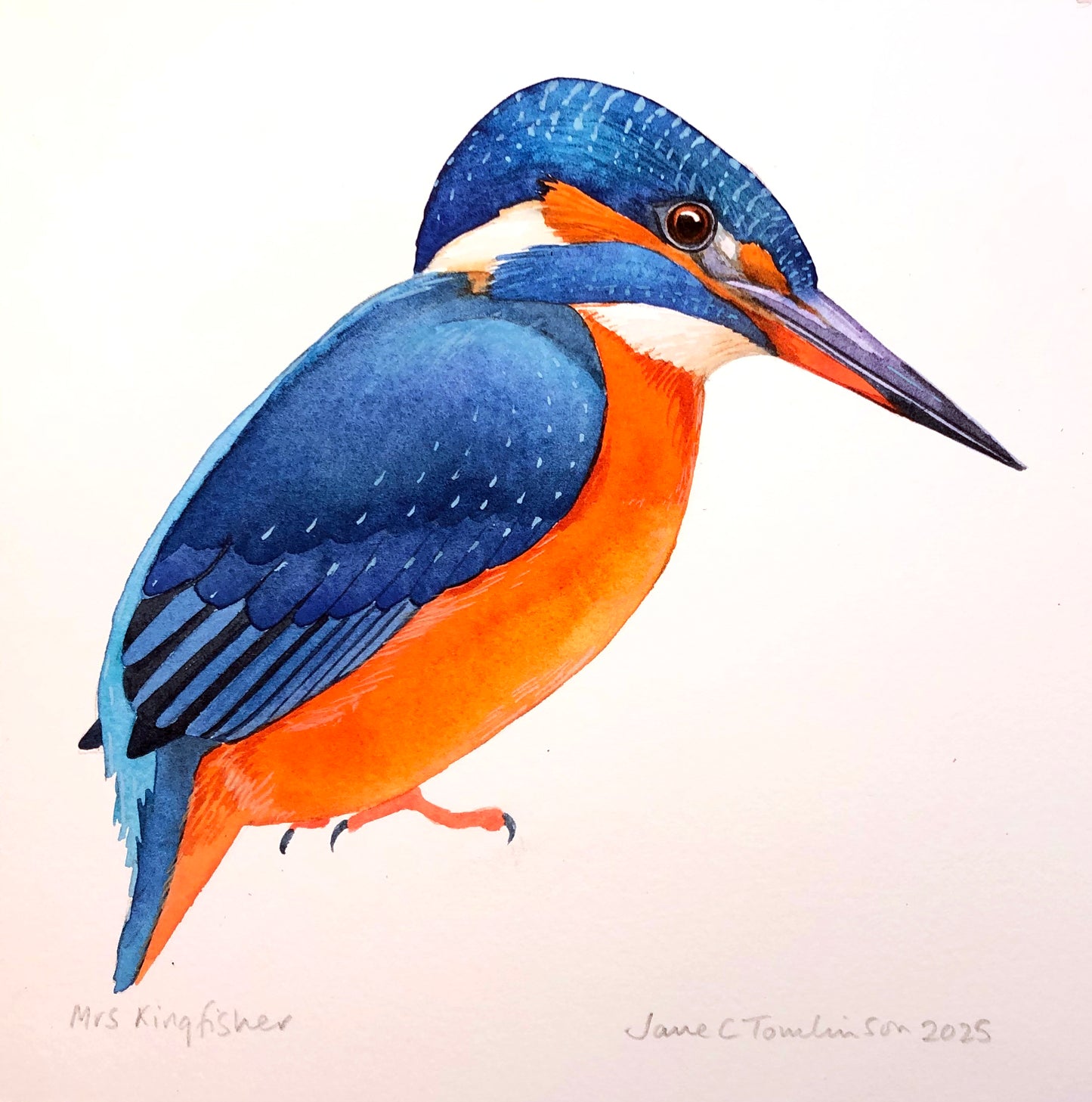 Kingfisher painting